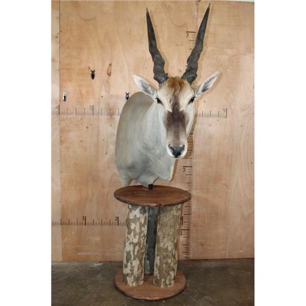 Big ELAND Pedestal Mount