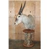 Image 2 : Big ELAND Pedestal Mount