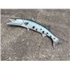 Image 4 : Monster Sized Reproduction BARRACUDA Fish Mount