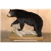 Image 2 : Life-sized BLACK BEAR on a Decorative Wood Base with Wheels