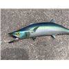 Image 2 : *Rarely Seen* Reproduction MACKEREL Fish Mount