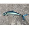 Image 3 : *Rarely Seen* Reproduction MACKEREL Fish Mount