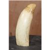 Image 1 : Pre 1972 Huge SPERM WHALE Tooth with a Cut Base for Display