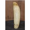 Image 6 : Pre 1972 Huge SPERM WHALE Tooth with a Cut Base for Display
