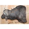 Image 7 : XXL CAPE BUFFALO Pedestal Mount