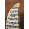 Image 5 : Antique Scrimshawed WHALE Tooth on a Custom Marble Display Stand