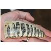 Image 8 : Antique Scrimshawed WHALE Tooth on a Custom Marble Display Stand