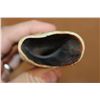 Image 9 : Antique Scrimshawed WHALE Tooth on a Custom Marble Display Stand