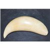 Image 2 : Sharp Pre 1972 SPERM WHALE Tooth