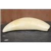 Image 6 : Sharp Pre 1972 SPERM WHALE Tooth