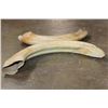 Image 5 : Massive Set of (2) HIPPOPOTAMUS Tusks