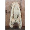 Image 8 : Huge XXL ALLIGATOR Skull with Massive Teeth
