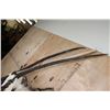 Image 6 : XXL *Trophy Sized* GEMSBOK Shoulder Mount