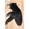 Image 3 : "Snarling" Half-body BLACK BEAR Mount