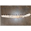 Image 1 : XL Fossilized MOSASAUR Jaw Section with 12 Fully Rooted Teeth