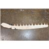 Image 6 : XL Fossilized MOSASAUR Jaw Section with 12 Fully Rooted Teeth