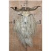 Image 1 : Big ANGORA GOAT Shoulder Mount