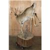 Image 6 : XXL Life-sized 16-Point Typical WHITETAIL DEER on a Decorative Base