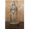 Image 7 : XXL Life-sized 16-Point Typical WHITETAIL DEER on a Decorative Base