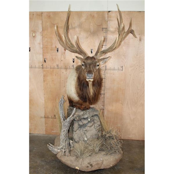 XXL 18-Point ELK Pedestal Mount
