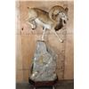 Image 3 : XL Life-sized MOUFLON on a Decorative Rock Base