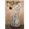 Image 7 : XL Life-sized MOUFLON on a Decorative Rock Base