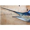 Image 4 : XXL Reproduction MARLIN Fish Mount