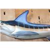 Image 5 : XXL Reproduction MARLIN Fish Mount