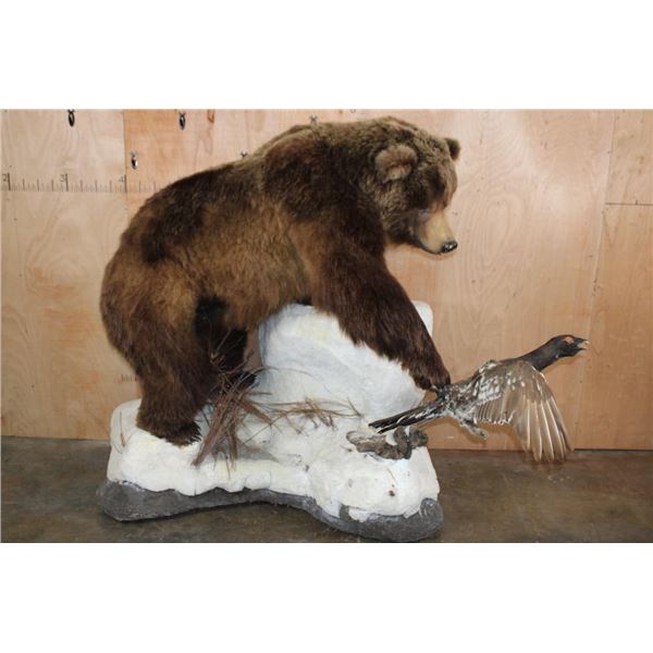 Massive Life-sized RUSSIAN BROWN BEAR with a CAPERCAILLIE Bird on a Snowy Base