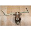 Image 1 : XXL TEXAS LONGHORN Shoulder Mount