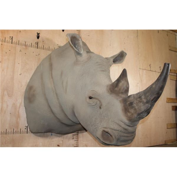 XXL Reproduction RHINOCEROS Shoulder Mount