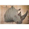 Image 1 : XXL Reproduction RHINOCEROS Shoulder Mount