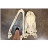 Image 7 : XXL ALLIGATOR Skull with a Removable Jaw and No Teeth