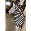 Image 5 : ZEBRA Shoulder Mount