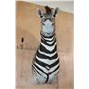 Image 7 : ZEBRA Shoulder Mount