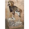 Image 4 : Life-sized MOUFLON Ram on a Decorative Rocky Base