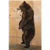 Image 10 : Big Life-sized Standing GRIZZLY BEAR or BROWN BEAR on Bolts with No Base