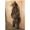 Image 3 : Big Life-sized Standing GRIZZLY BEAR or BROWN BEAR on Bolts with No Base