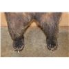 Image 9 : Big Life-sized Standing GRIZZLY BEAR or BROWN BEAR on Bolts with No Base