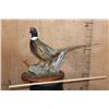 Image 2 : RING-NECKED PHEASANT on a Decorative Wood Plaque Base