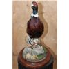 Image 4 : RING-NECKED PHEASANT on a Decorative Wood Plaque Base