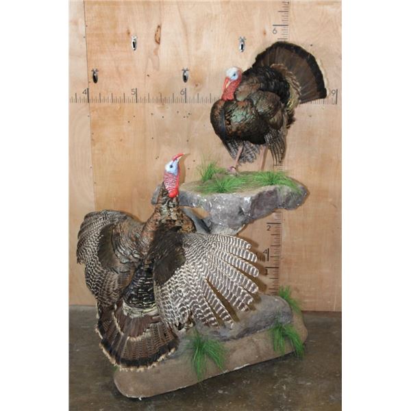 2 Life-sized TURKEYS on a Decorative Base with Wheels