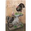 Image 1 : 2 Life-sized TURKEYS on a Decorative Base with Wheels