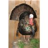 Image 6 : 2 Life-sized TURKEYS on a Decorative Base with Wheels
