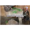 Image 9 : 2 Life-sized TURKEYS on a Decorative Base with Wheels