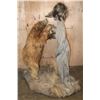 Image 1 : Life-sized Cinnamon Phase BLACK BEAR "Quilled" by a Life-sized PORCUPINE