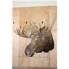 Image 3 : XL 20-Point MOOSE Shoulder Mount with Removable Antlers