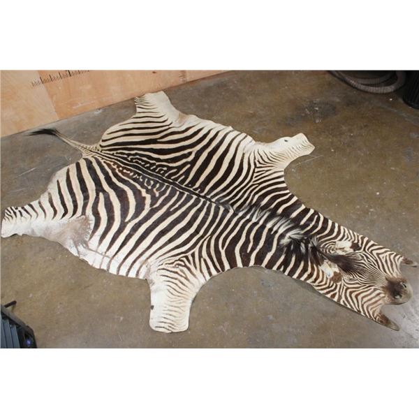 ZEBRA Hide or ZEBRA Hide Rug