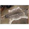 Image 2 : ZEBRA Hide or ZEBRA Hide Rug