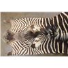 Image 3 : ZEBRA Hide or ZEBRA Hide Rug